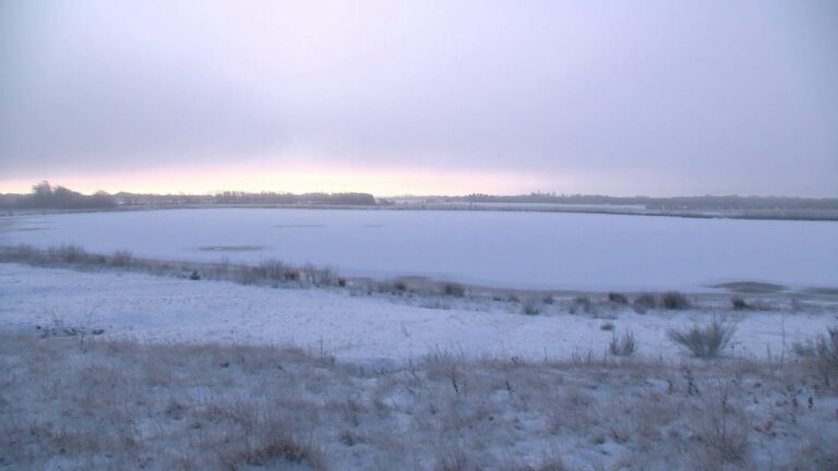 Jak se ptáci vyrovnávají s mrazem?