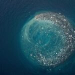 Nečekaný život na plastovém odpadu v Tichém oceánu