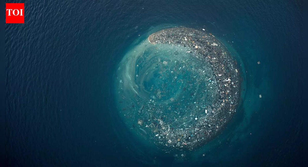 Nečekaný život na plastovém odpadu v Tichém oceánu