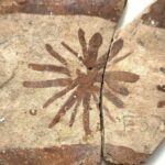 Nejstarší příklad matematického myšlení u lidí: Obrazy rostlin na keramice staré 8 000 let