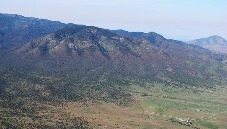 NM Lesní Divize: Úmrtnost stromů způsobená kůrovcem se více než zdvojnásobila již druhý rok po sobě