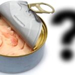 Nová vědecká studie zkoumá tajné aspekty průmyslu konzervovaného tuňáka