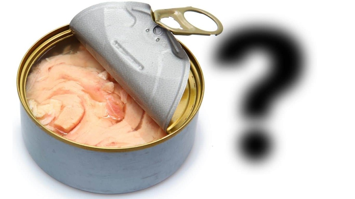 Nová vědecká studie zkoumá tajné aspekty průmyslu konzervovaného tuňáka