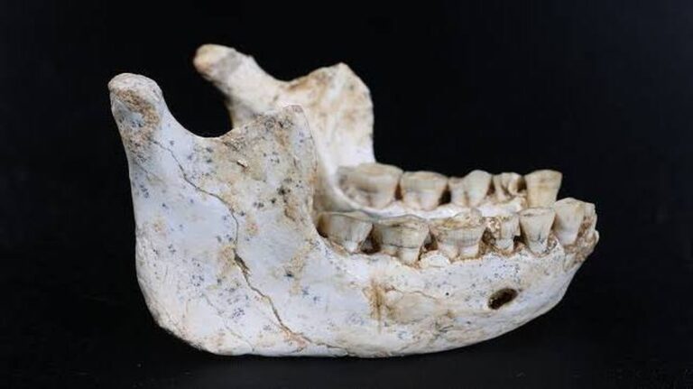 Nové poznatky o původu člověka z naleziště v Maroku