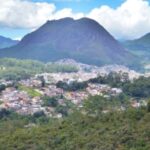 Nový objev v Mata Atlântica: Parazitární houbový druh Purpureocillium atlanticum