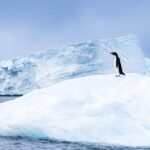 Objevování mezi ledy