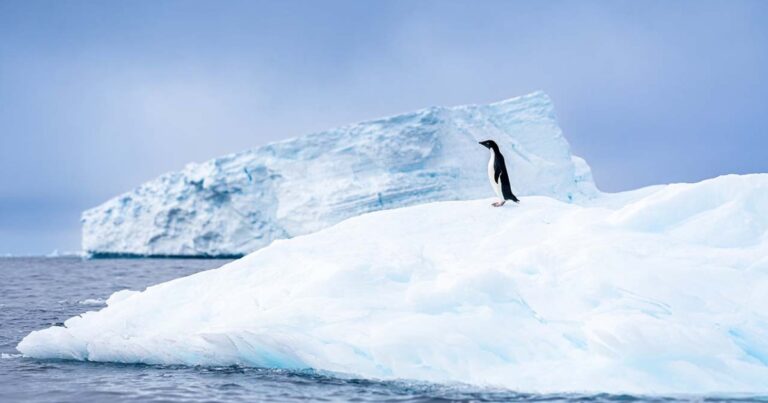 Objevování mezi ledy