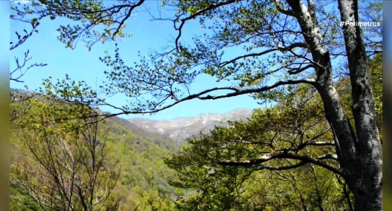 Objevování staletého tisu v Evropě