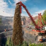 Osvobození divokých vos v lesích USA jako odpověď na expanze brouka smaragdového