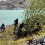 Pokrok invazivního druhu: odstranění vrb pro ochranu vodní pánve řeky Manso a nativního lesa v Bariloche