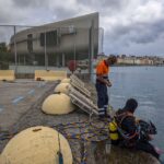 Port u Albaredě obnovuje mořský život