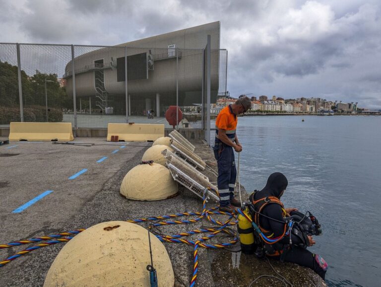 Port u Albaredě obnovuje mořský život
