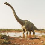 Překvapení z Číny: Objev kolosálního dinosaura o délce 28 metrů