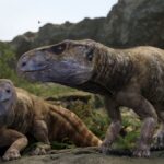 Senzace v Bakoně: Nový objev dinosaurích fosílií mění naše chápání evropských dinosaurů