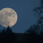 Superměsíc vlka stoupá tento týden, což znamená první z 13 úplňků v roce 2026