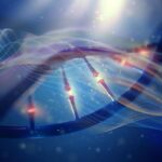 Univerzální křivka tepelných výkonů a její dopad na biologii