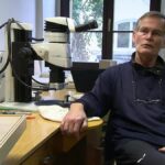 Velké krabání: Návštěva "Pána mravenců" v Görlitz