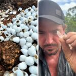 Výjimečný objev prospektora v australském buši