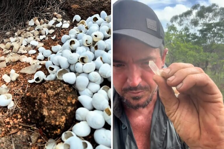 Výjimečný objev prospektora v australském buši