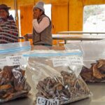 Podpora ženských producentek hub v Acopalce